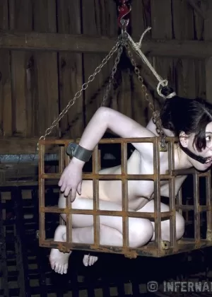 White girl Felonie finds herself imprisoned as sex slave forevermore